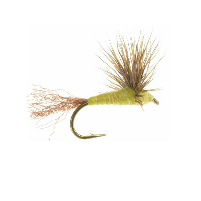Sparkle Dun Sulphur dry fly — bright yellow-olive body with flared deer hair wing and trailing Z-lon shuck, imitating a PMD or Sulphur dun emerging from its nymphal case
