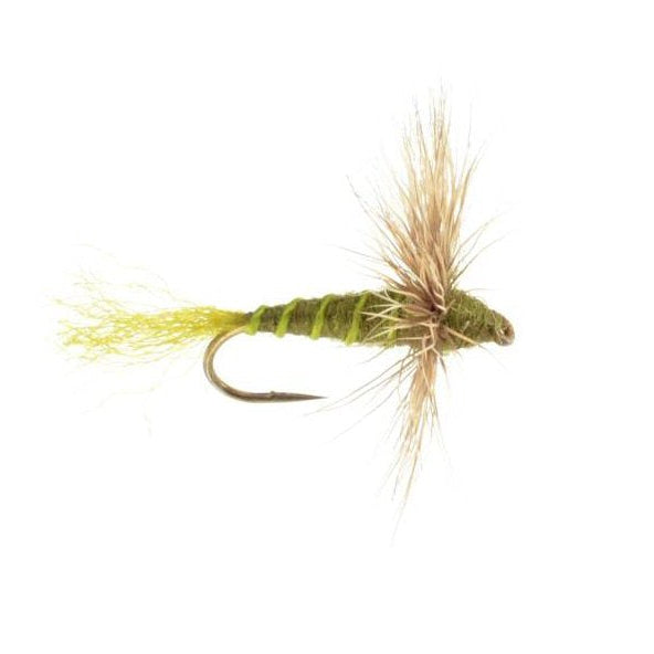 Green Drake Sparkle Dun dry fly — segmented olive body with chartreuse trailing Z-lon shuck and flared deer hair wing, imitating a Green Drake dun emerging from its nymphal case