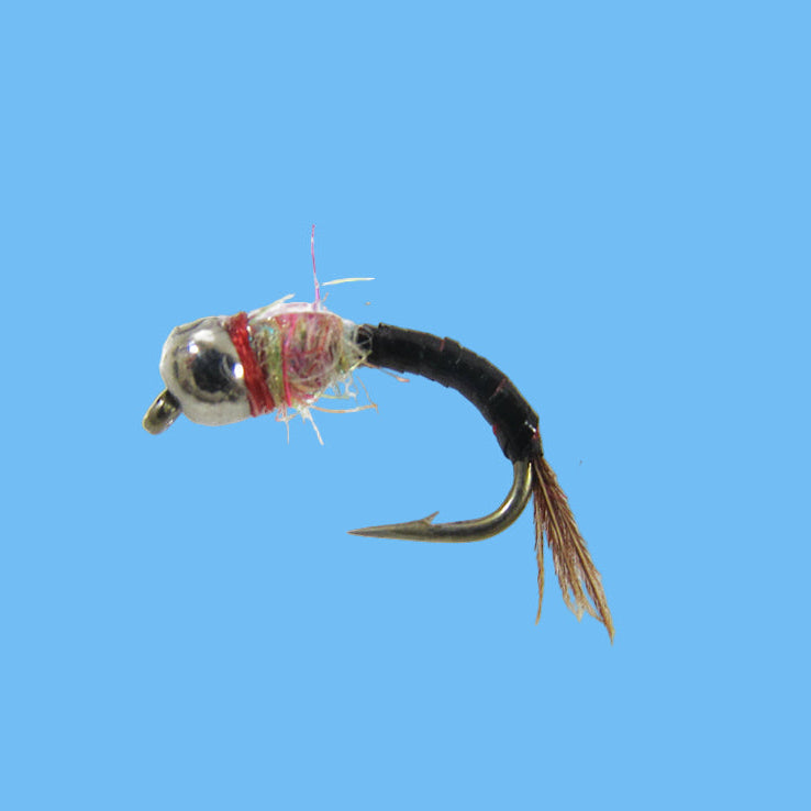 Rainbow Warrior STB Black