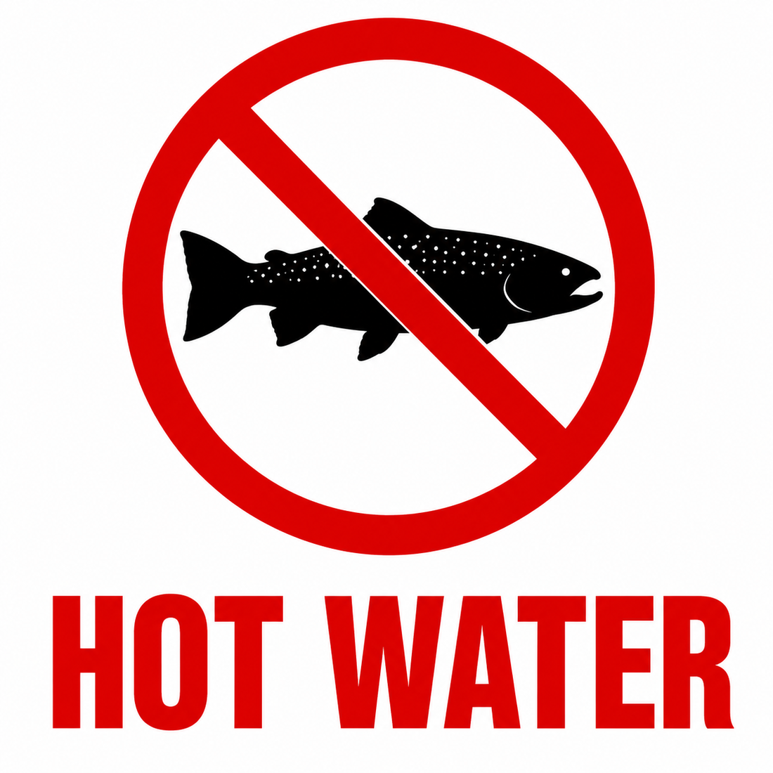 Lower Colorado River Fishing Report — August 17, 2026
