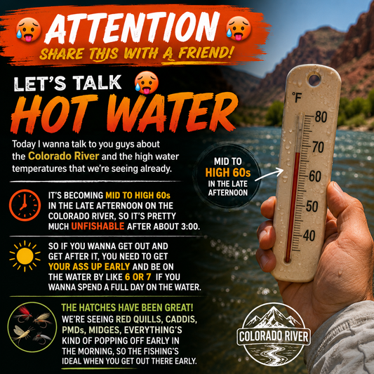 Colorado River Water Temperatures Are Rising: Here’s What Anglers Need to Know