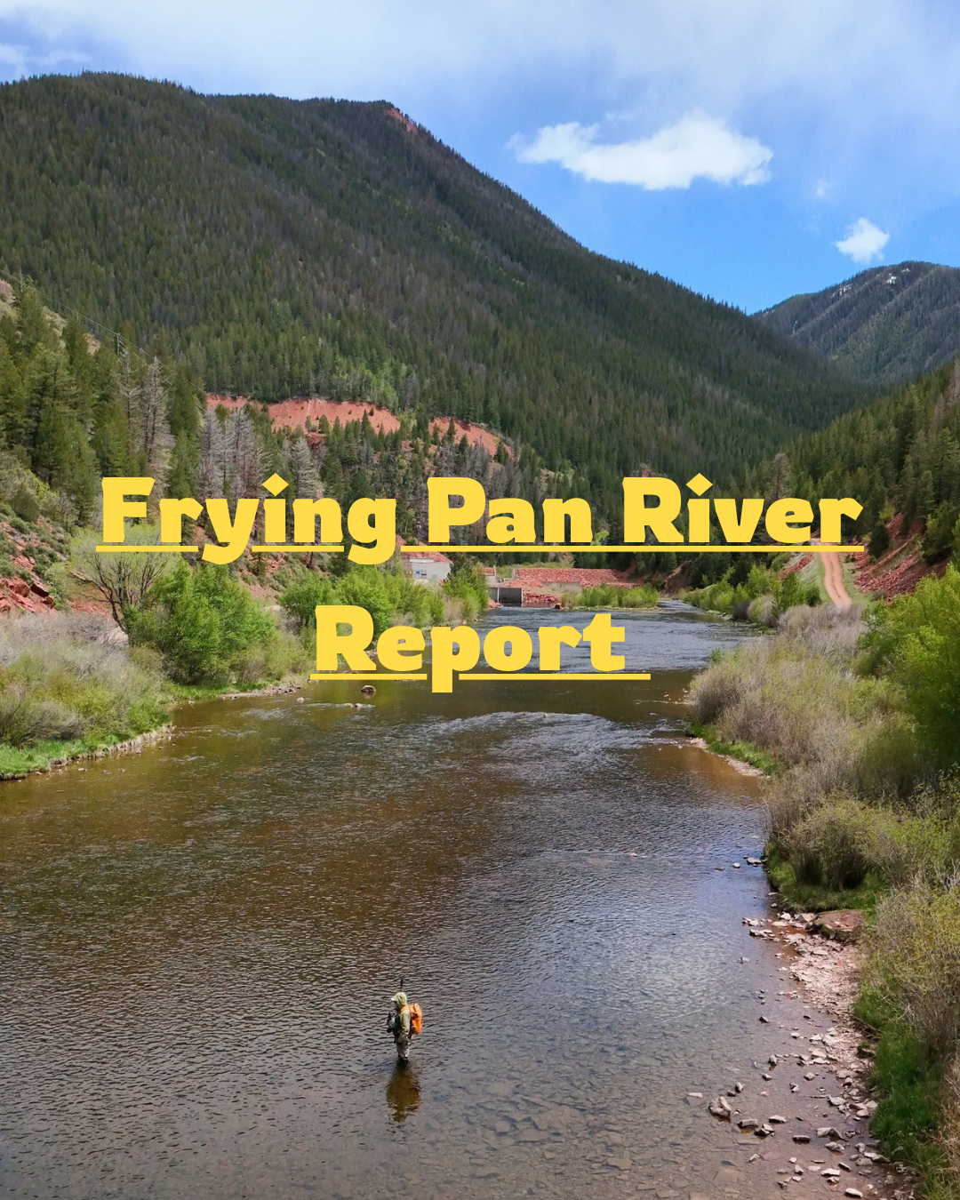 Frying Pan River Fishing Report — Spring Fly Fishing Update