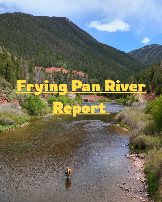 Frying Pan River Fishing Report — Spring Fly Fishing Update