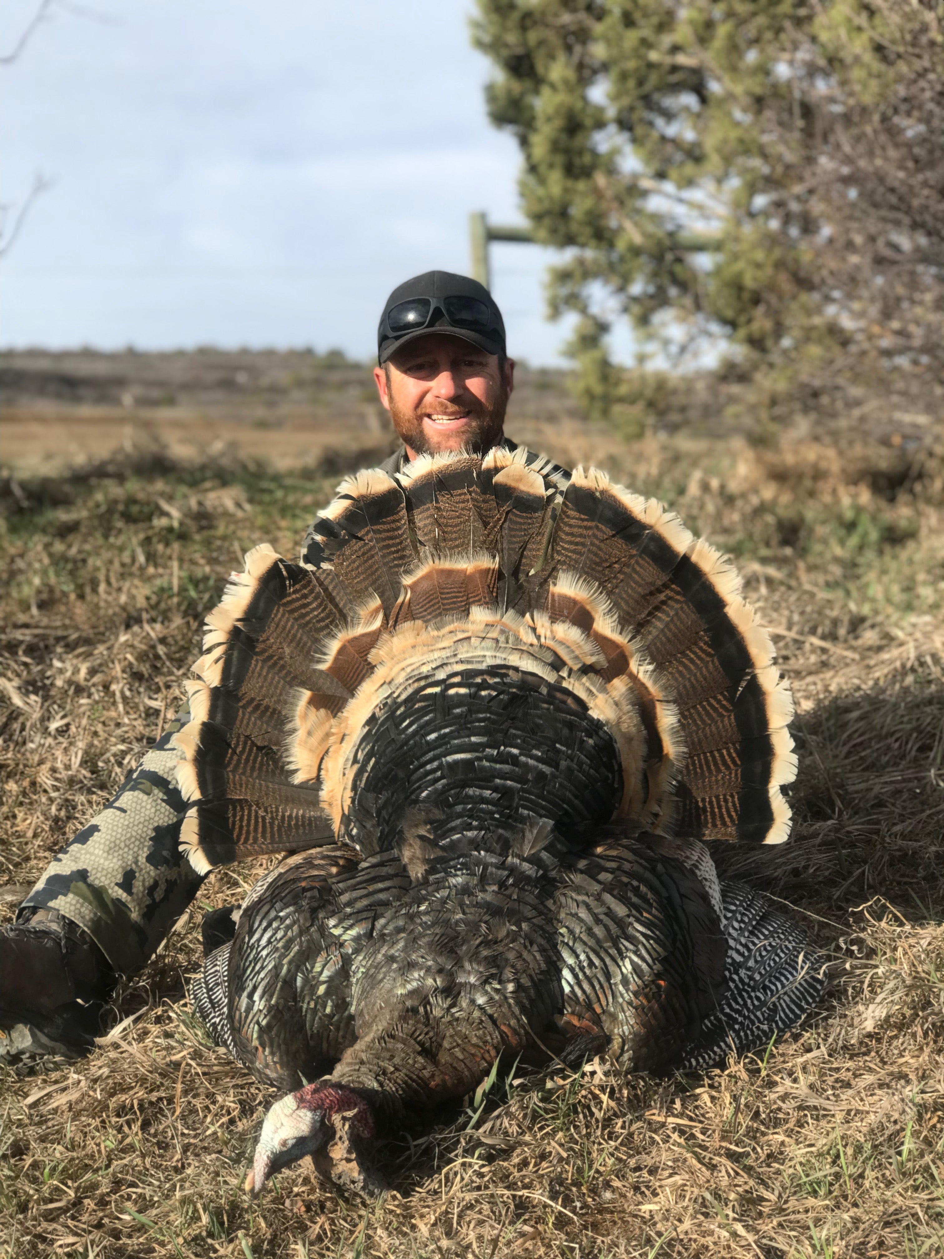 Spring Turkey Season 2026 Near Glenwood Springs, CO | Glenwood Springs ...