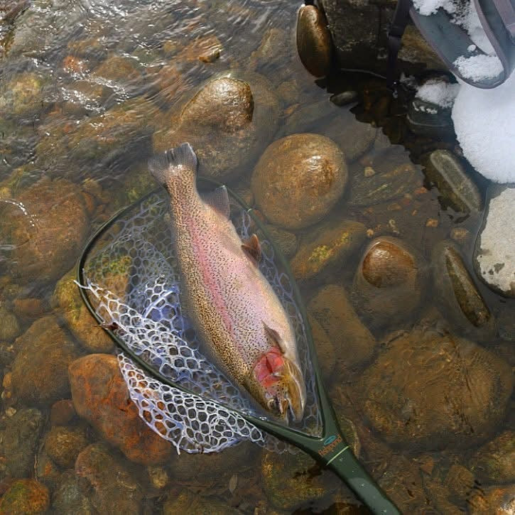 Fryingpan River Fishing Report: Midges & Baetis | October 15, 2026