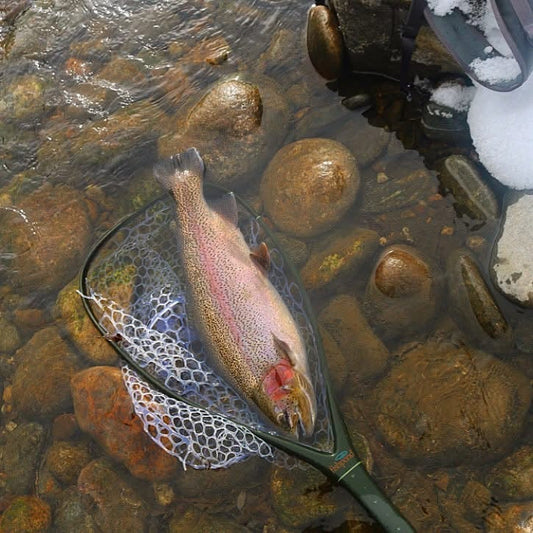 Fryingpan River Fishing Report: Midges & Baetis | October 15, 2026