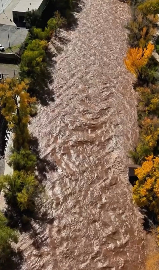 Lower Colorado River Fishing Report – October 24, 2026
