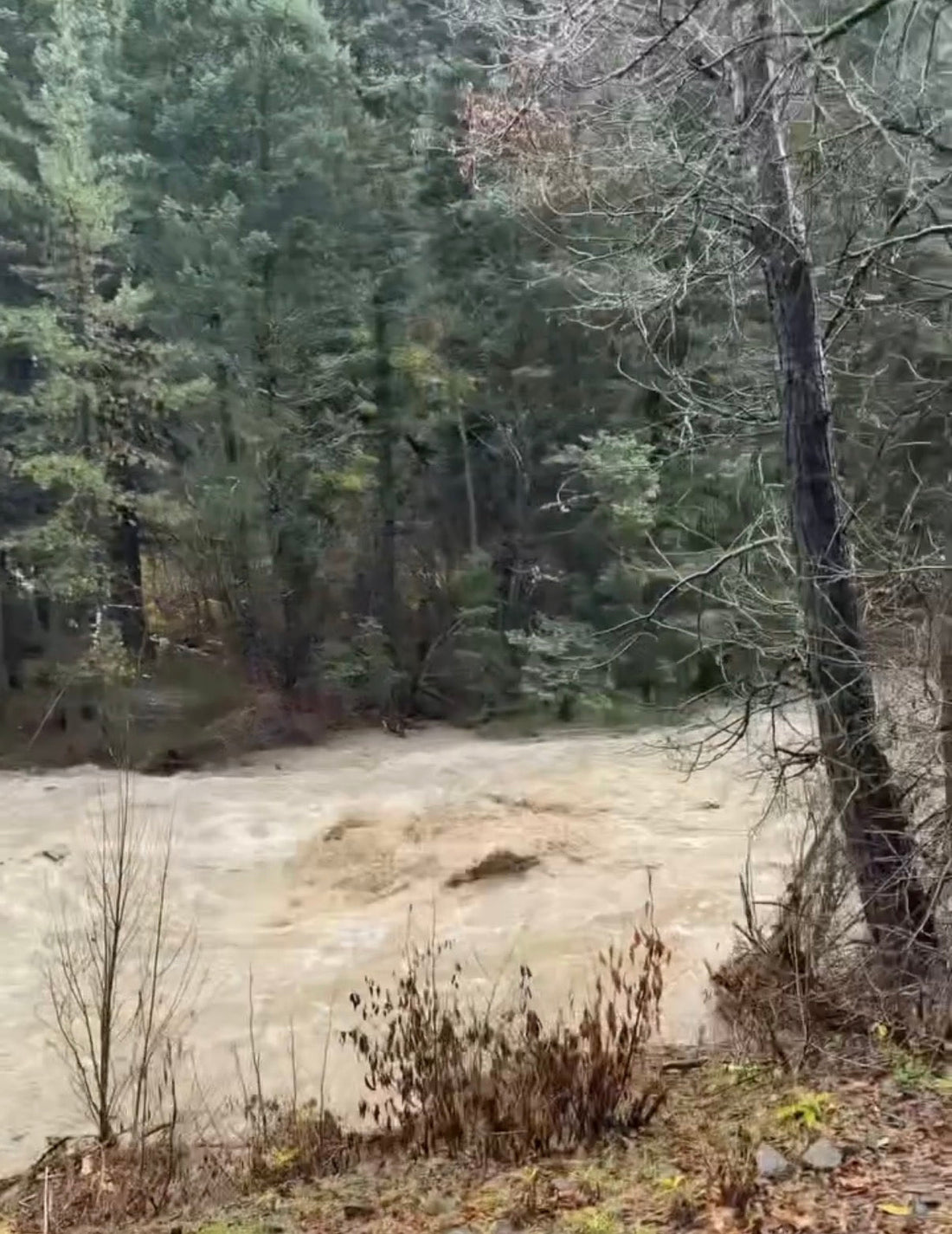 Roaring Fork River Fishing Report – October 24, 2026