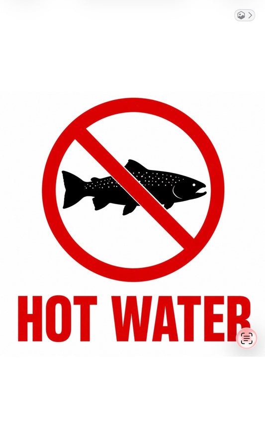 Colorado River Fishing Report: It’s Time to Give the River a Break