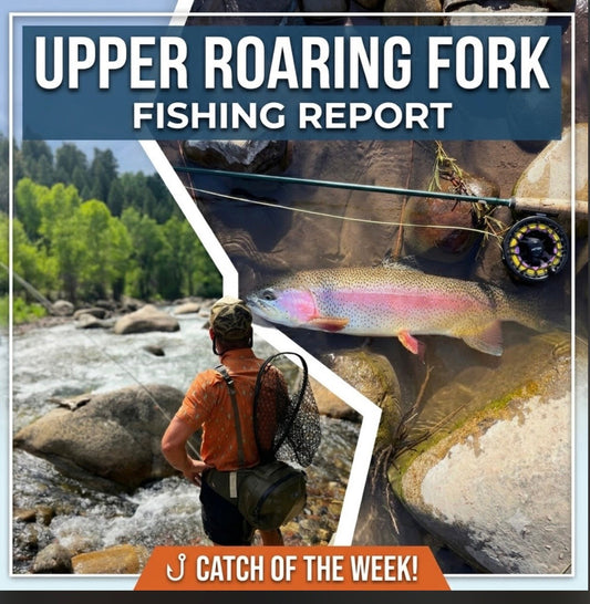 Fly fishing the Upper Roaring Fork River near Aspen, Colorado — summer hopper-dropper fishing report from Glenwood Springs Outdoors