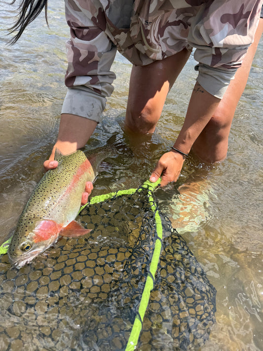Lower Roaring Fork Fishing Report — August 22, 2026