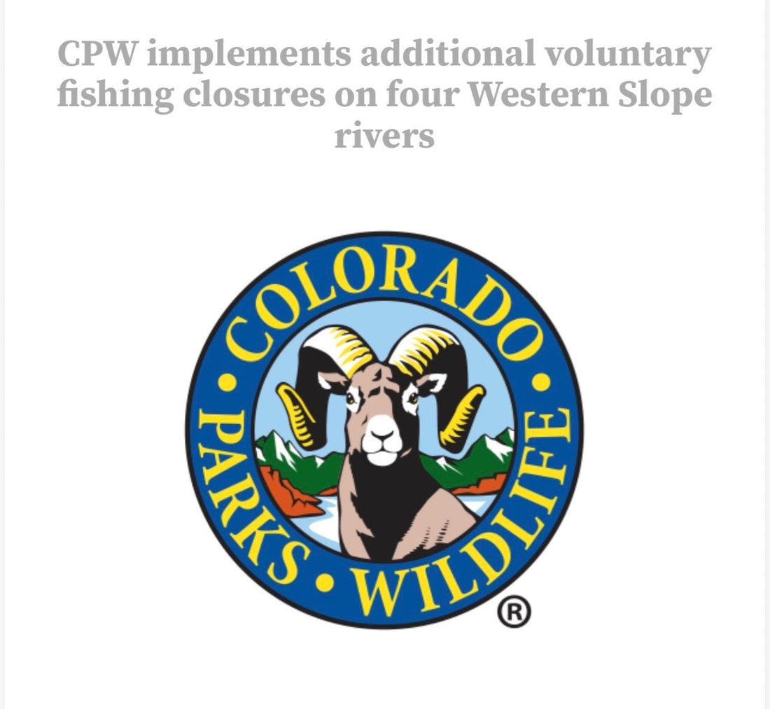 Lower Colorado River near Glenwood Springs, Colorado — August 2026 fishing conditions