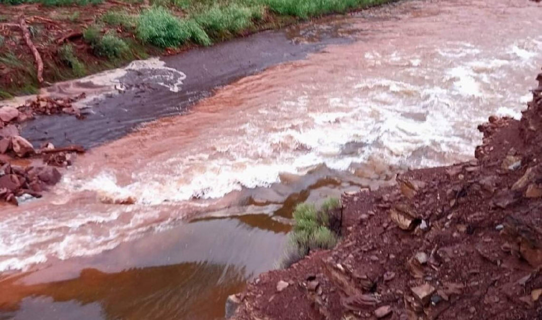Lower Colorado River Fishing Report — August 8, 2026
