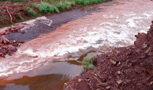 Lower Colorado River Fishing Report — August 8, 2026