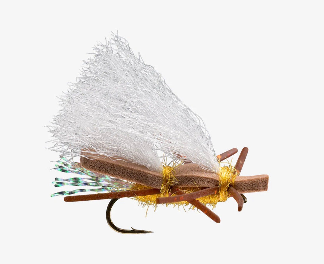 Three Flies You Need in Your Box This Week 7/26/26