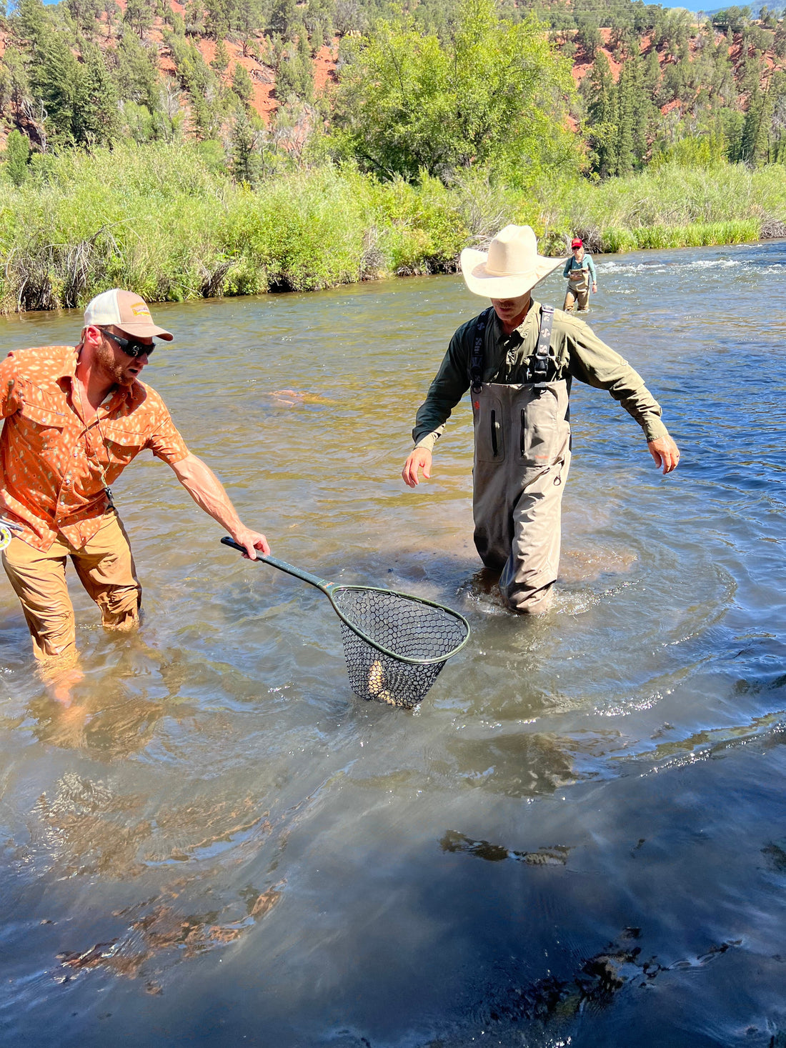 Fryingpan River Fishing Report — August 22, 2026