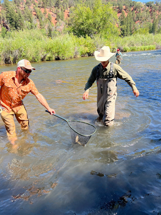Fryingpan River Fishing Report — August 22, 2026