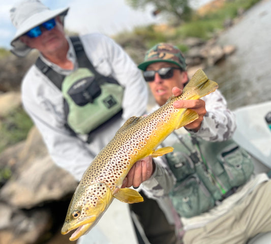 Roaring Fork River Fishing Report: Low Flows & Fall Flies | October 15, 2026