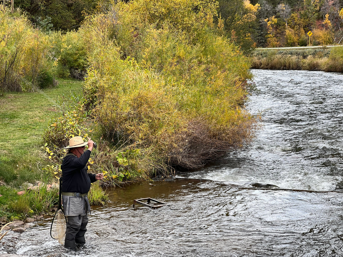 Fryingpan River Fishing Report: Fall Dry-Fly Fishing — October 8, 2026