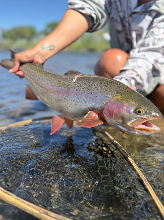 Lower Roaring Fork River Fishing Report — September 4, 2026