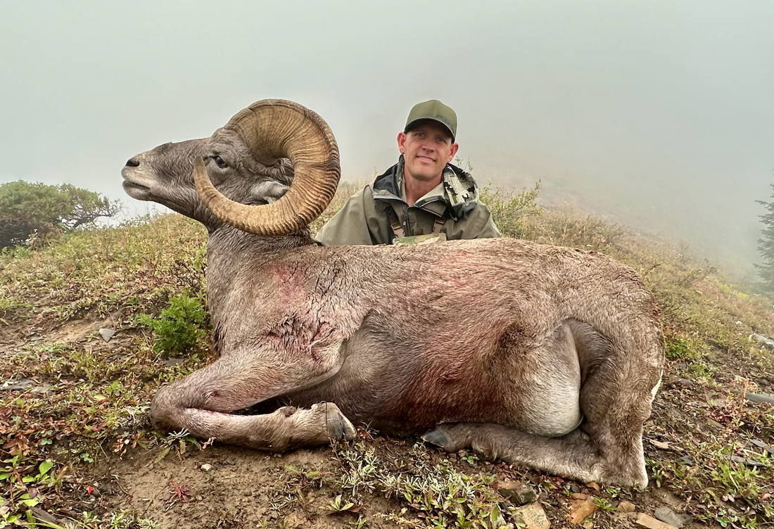 Big Horn Sheep Dream Hunt