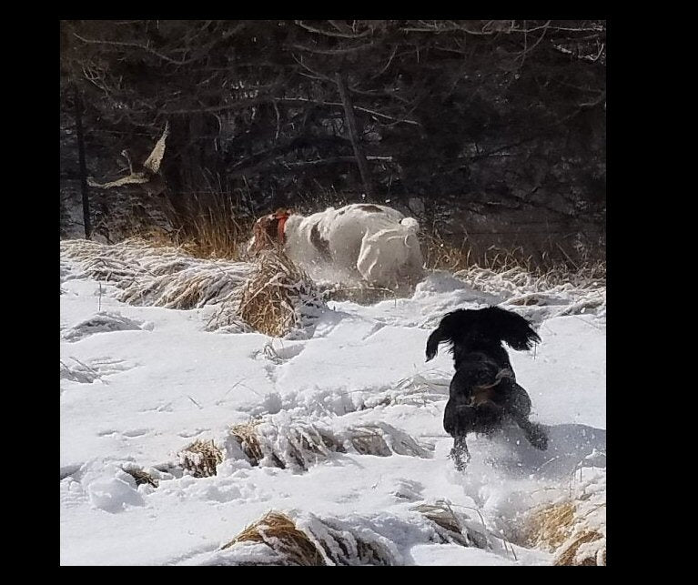 Hunting Gear & Equipment for Colorado Big Game