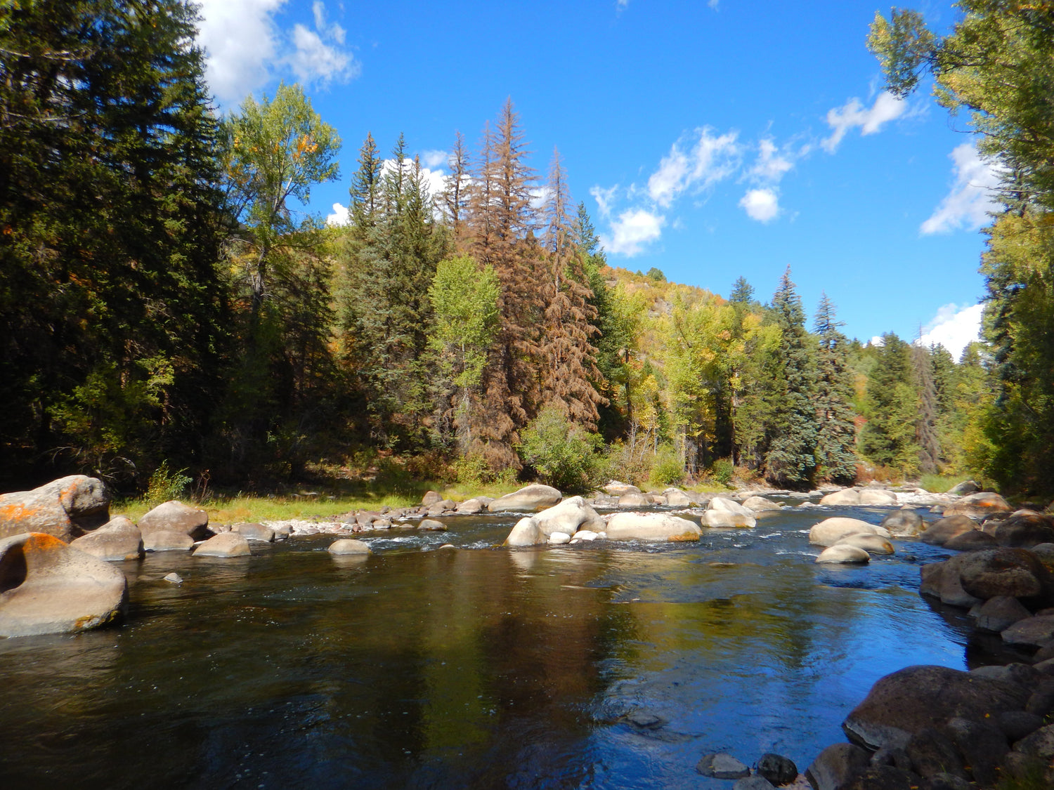 Spin and Bait fishing