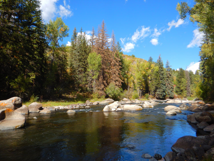 Spin and Bait fishing