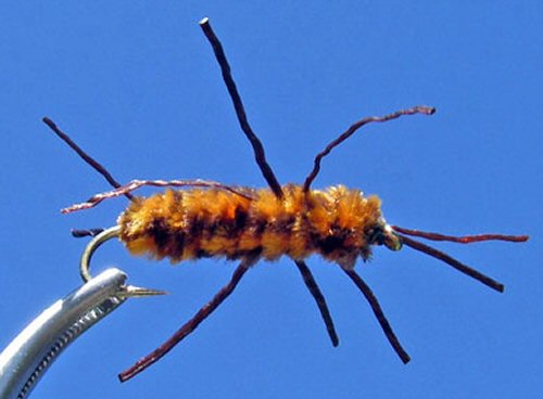 Girdle Bugs and Rubberlegs