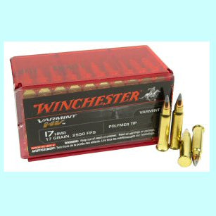 17 HMR Winchester Varmint HV 17gr Polymer Tip