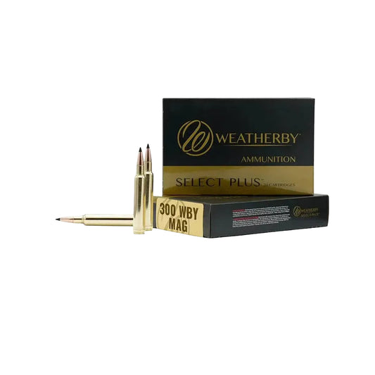 300 Weatherby Mag 180 Grain Barnes TTSX