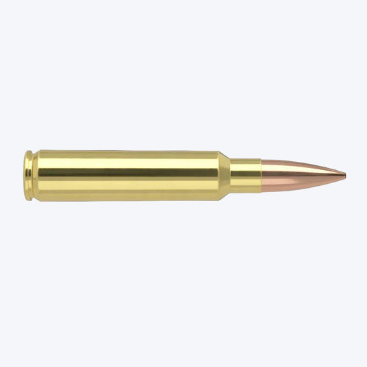 33 Nos. Nosler 300gr Custom Comp.