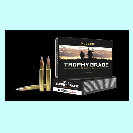 9.3x62 Nosler 250gr Accubond