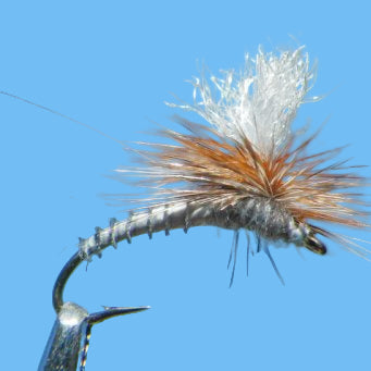 GT Adams