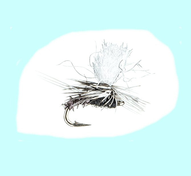 GT Trico Adult