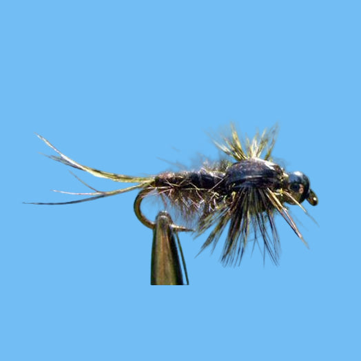 Anatomical Green Drake Nymph