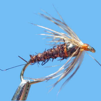 BH Soft Hackle Pheasant Tail