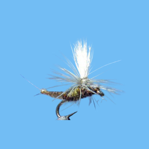 Extended Body BWO Dry Fly — Blue-Winged Olive Pattern | Glenwood ...