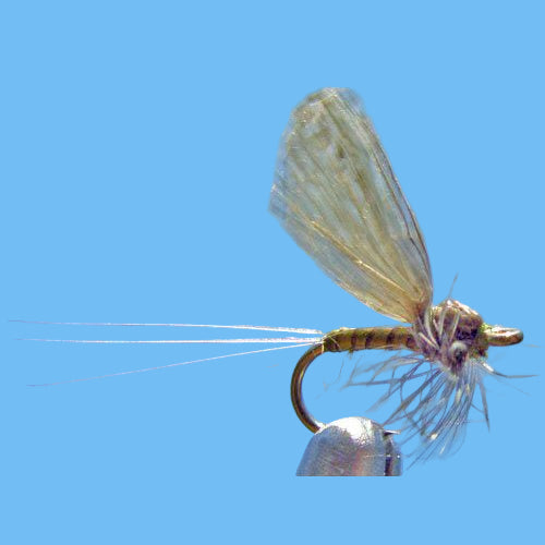 BWO Hackle Dun