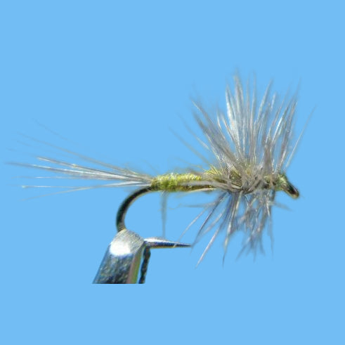 BWO