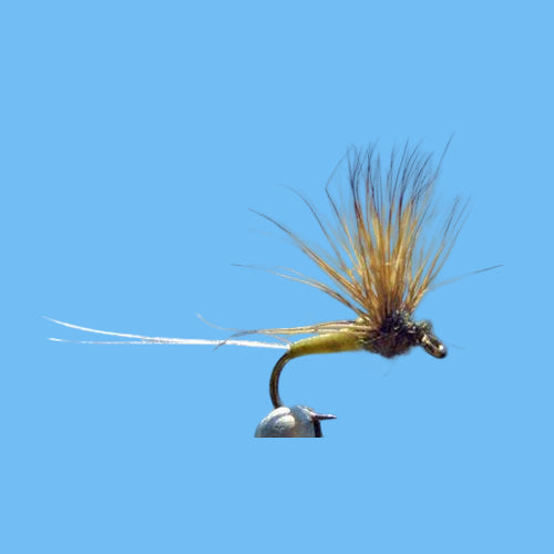 BWO Comparadun