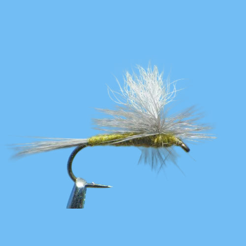Parachute BWO