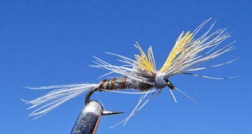 Crippled Twilight Baetis