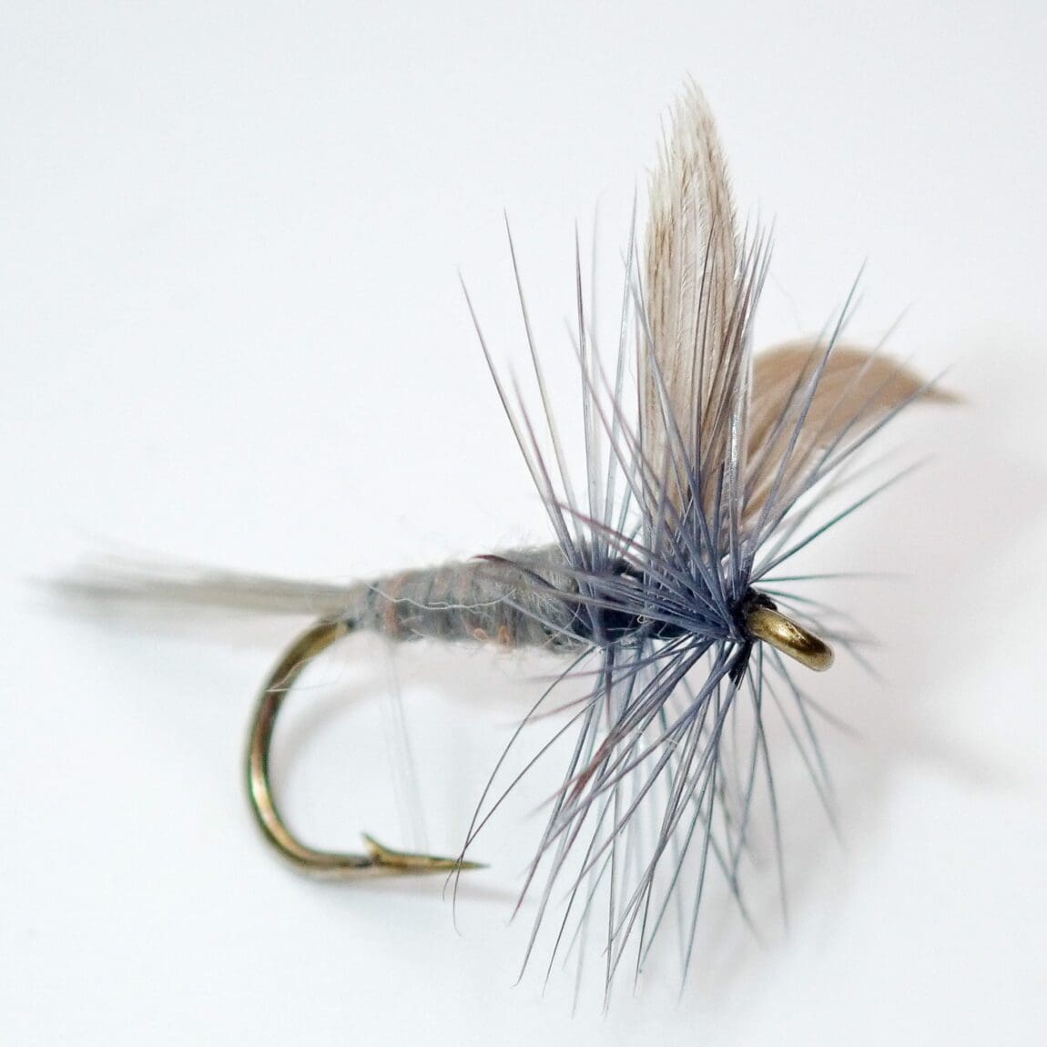 Blue Dun dry fly — classic mayfly dun imitation for trout fly fishing