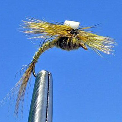 Sprout Flavilinea Green Drake