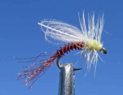 Cdc Emerger Patterns CDC Winged Emerger PMD — Pale Morning Dun Emerger Pattern | Glenwood ...