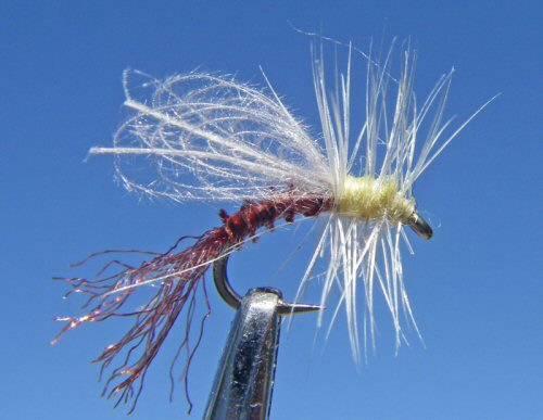 CDC Winged Emerger PMD