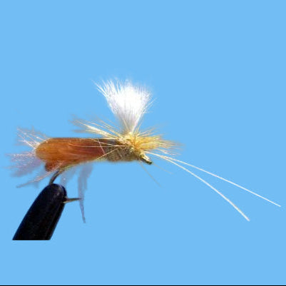 CDC Caddis