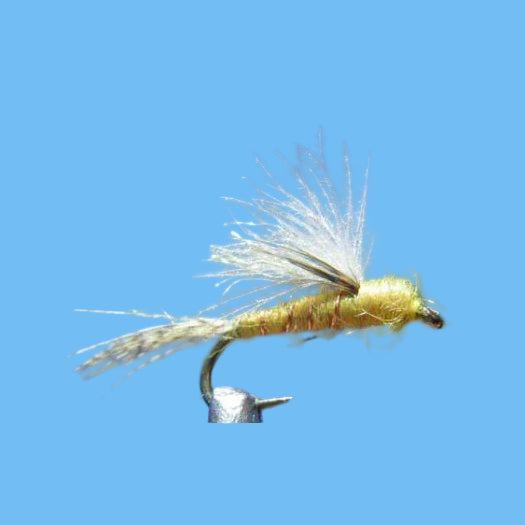CDC Floating Emerger PMD