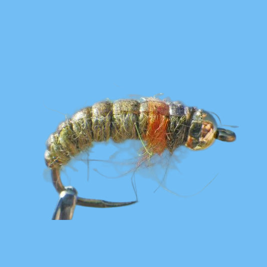 BH Caddis Pupa - Olive